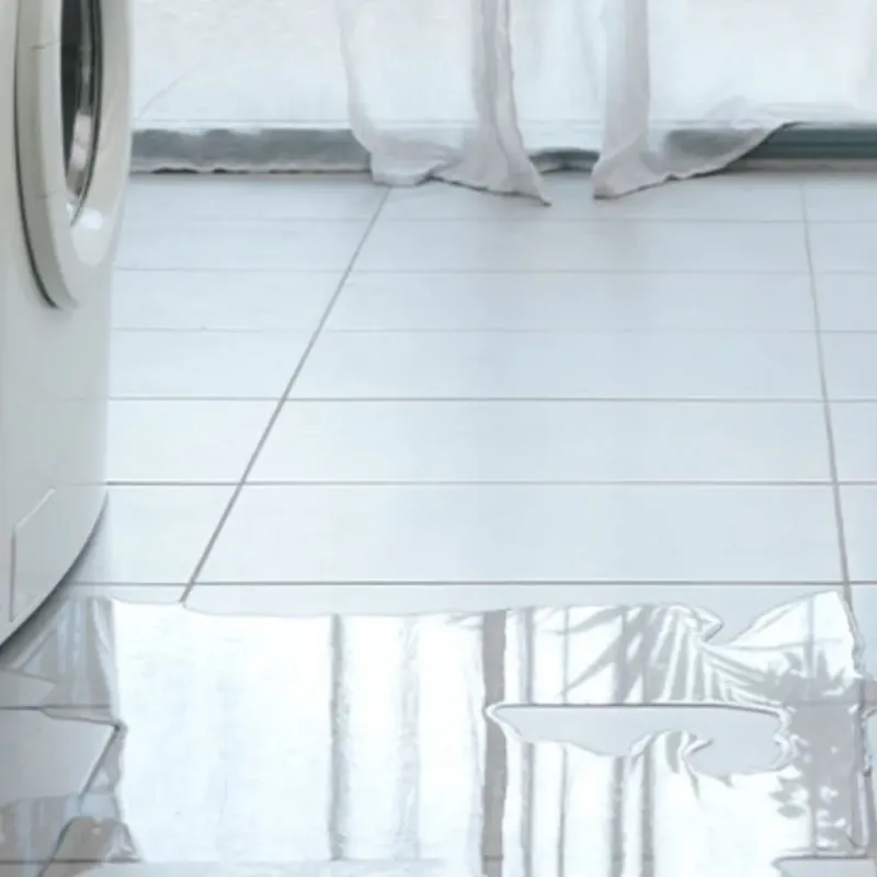 Appliance Leak Cleanup in Deltana, AK