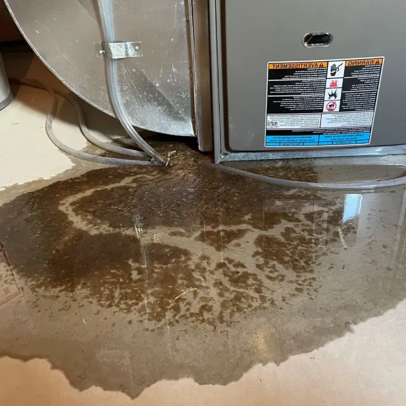 Pipe Burst and Leak Restoration in Deltana, AK