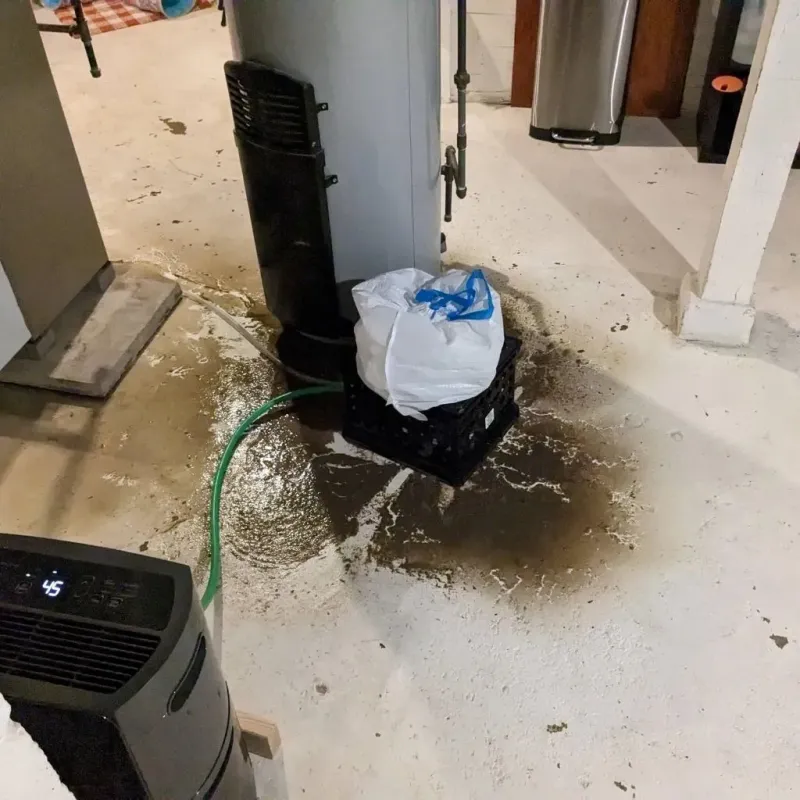 Sewage Backup Cleanup Service in Deltana, AK